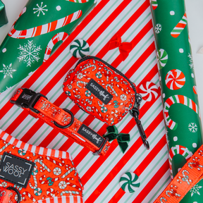 Dog Three Piece Bundle - Puppermint Twist