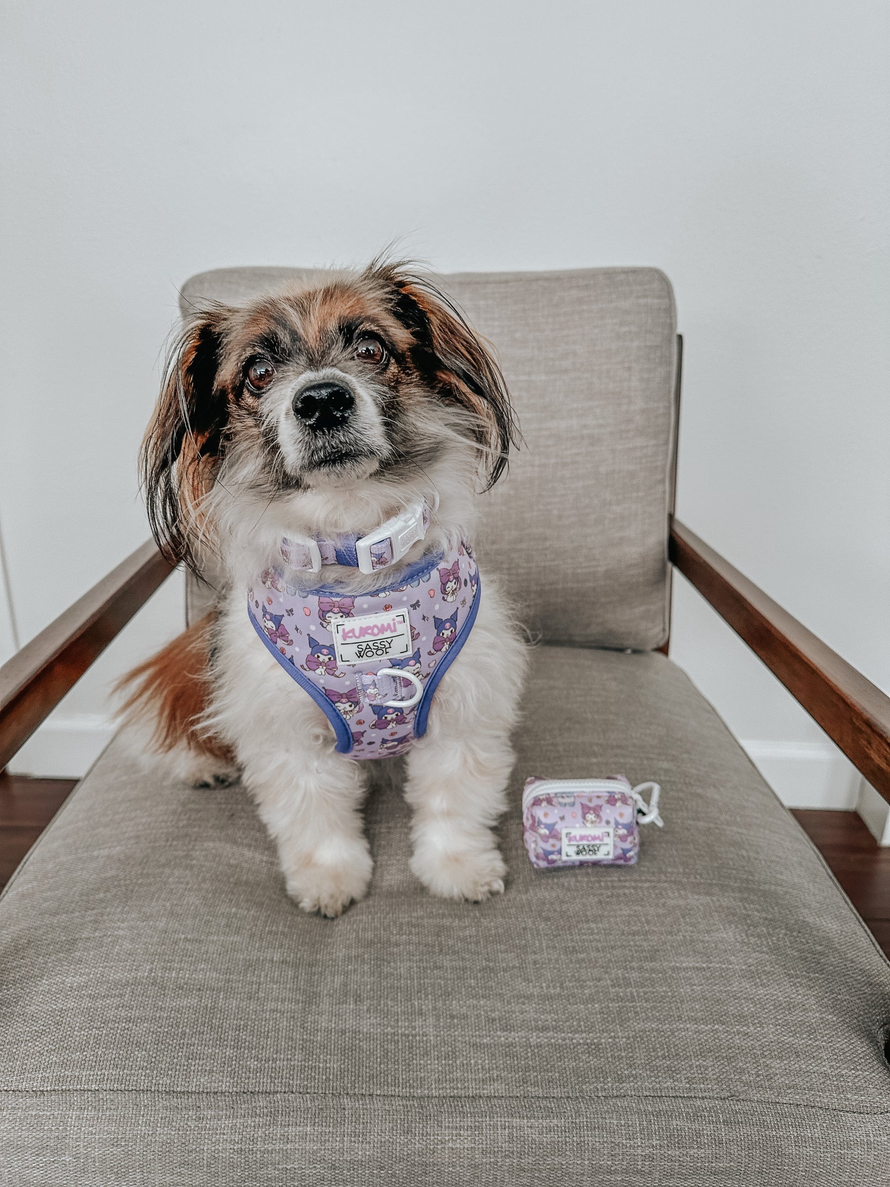 INFLUENCER_CONTENT | @RESCUINGRUTHIE | SIZE S