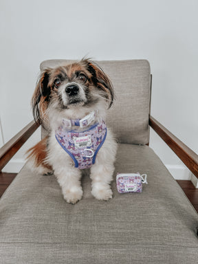 INFLUENCER_CONTENT | @RESCUINGRUTHIE | SIZE S