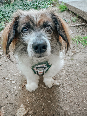 INFLUENCER_CONTENT | @RESCUINGRUTHIE | SIZE S & S