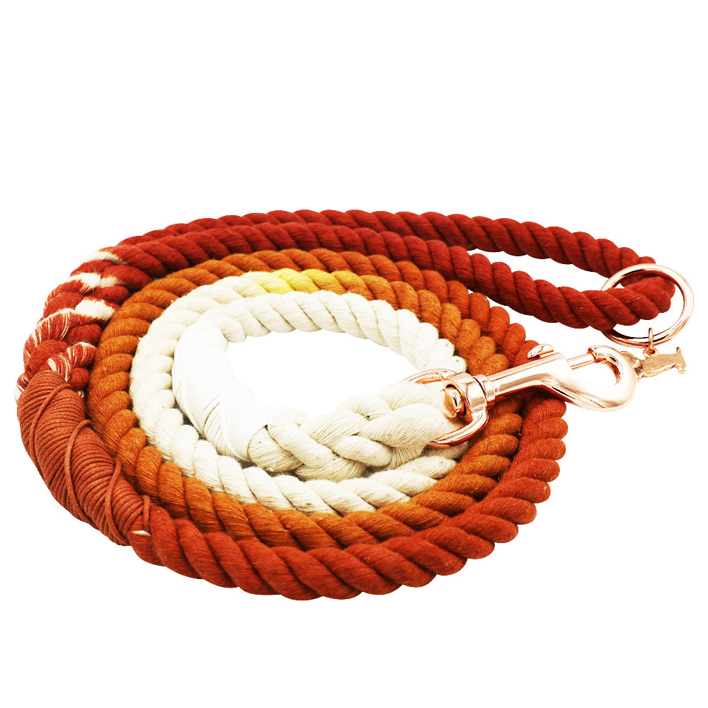 Dog Rope Leash - Ombre Orange