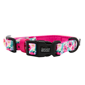 Dog Collar - Floral Frenzy