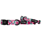 Dog Collar - Floral Frenzy