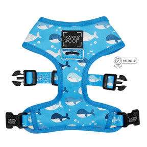 Dog Reversible Harness - Might as Whale