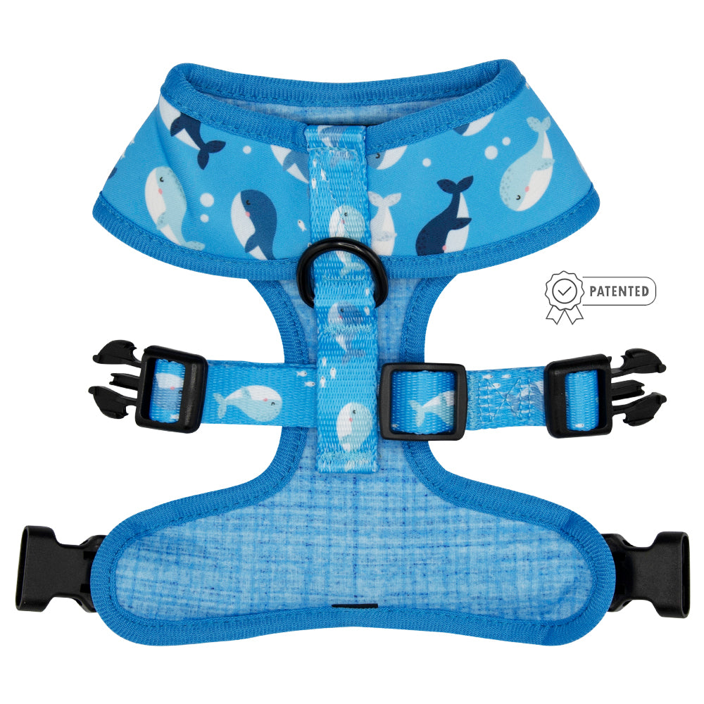 Dog Reversible Harness - Might as Whale