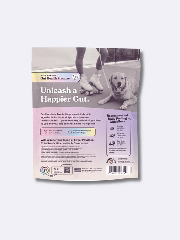 Back of the Sassy Woof Bundle x Joy Salmon Superfood Jerky Bars bag, featuring a roller skater with a golden retriever, product info, daily feeding guidelines, and our promise to support gut health with natural ingredients.