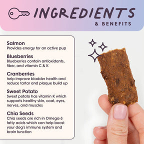 A hand holds a Bundle x Joy Salmon Superfood Jerky Bar by Sassy Woof next to its ingredient list and benefits, highlighting these limited-ingredient dog treats with salmon, blueberries, cranberries, sweet potato, and chia seeds on a pastel background.