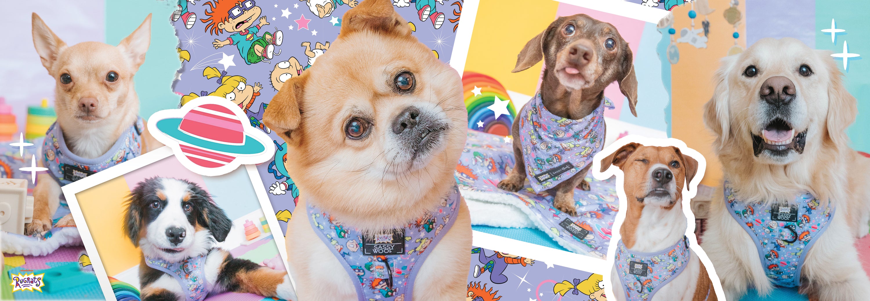A colorful collage of five dogs in cartoon-themed bandanas, posing against pastel and rainbow backgrounds, with playful sticker-style graphics and cartoon character patterns throughout the image.