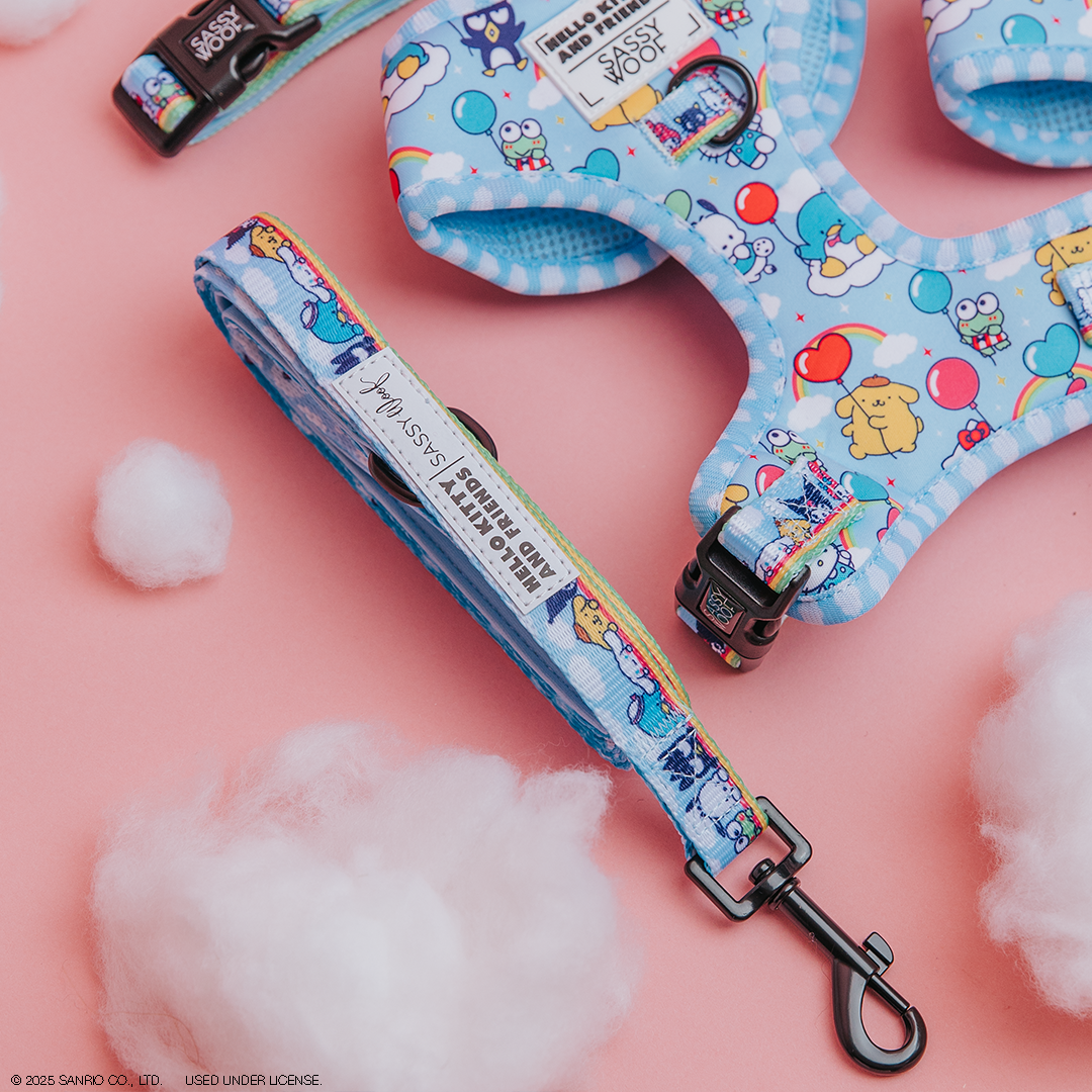 A blue dog harness and matching leash with colorful cartoon animal and balloon patterns lie on a pink surface, surrounded by small, fluffy, cloud-like decorations.