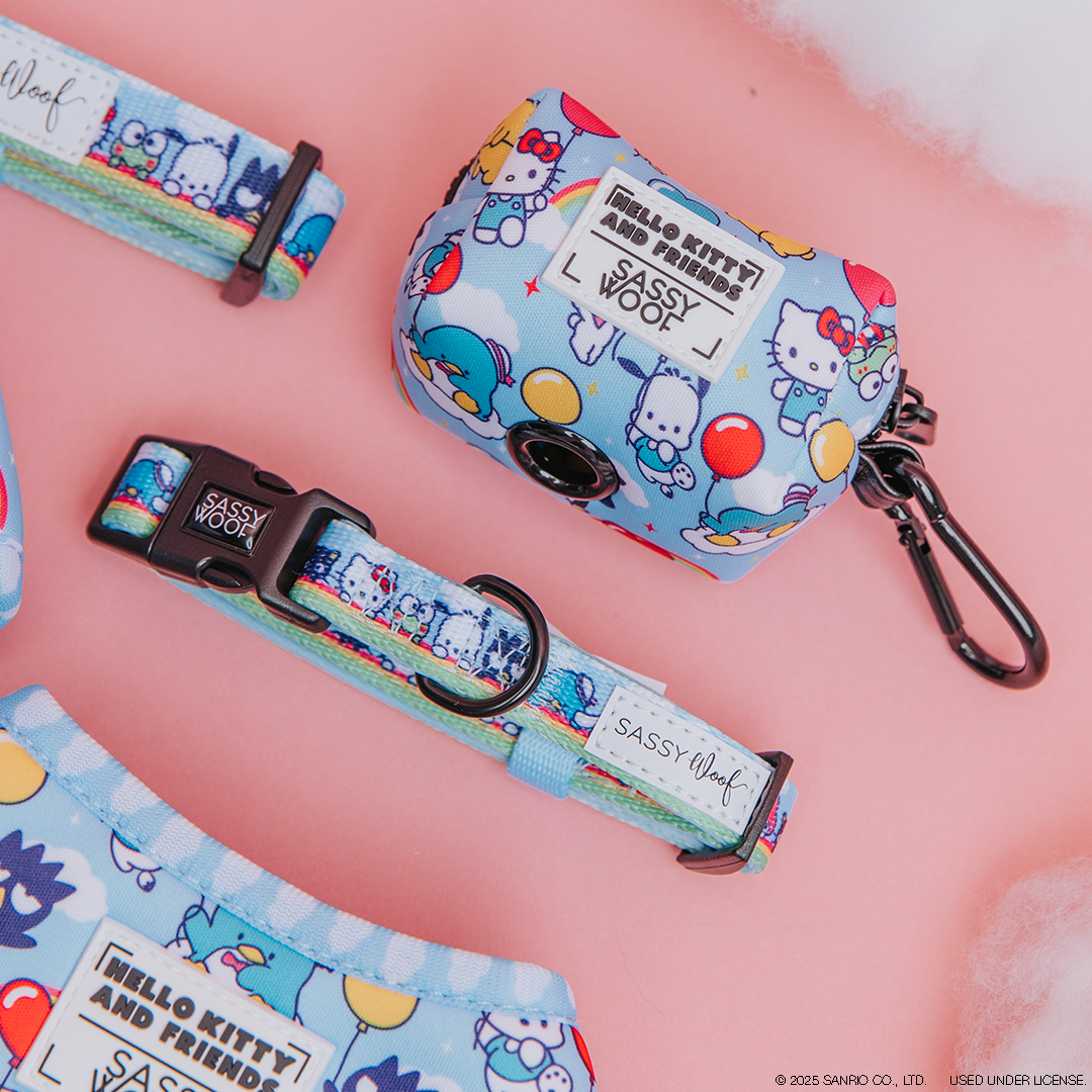 Light blue Hello Kitty-themed pet accessories, including a collar, leash, and waste bag holder with colorful cartoon Hello Kitty and friends designs. All items are branded with Sassy Woof labels.