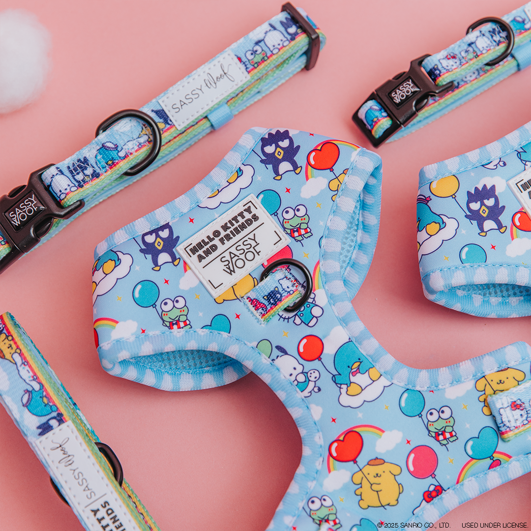 Light blue pet harness and collars with colorful cartoon Sanrio characters, balloons, and clouds on a pink background. Text labels read “Sassy Woof.” The design is bright and playful.