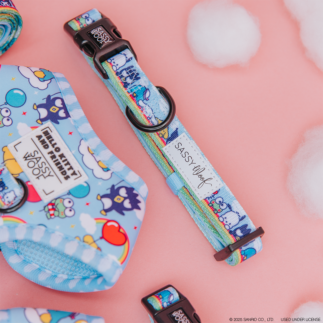 Light blue pet accessories with colorful cartoon designs, including a harness and a collar labeled “Sassy Woof,” are displayed on a pink surface with cotton clouds and playful patterns like stars and rainbows.