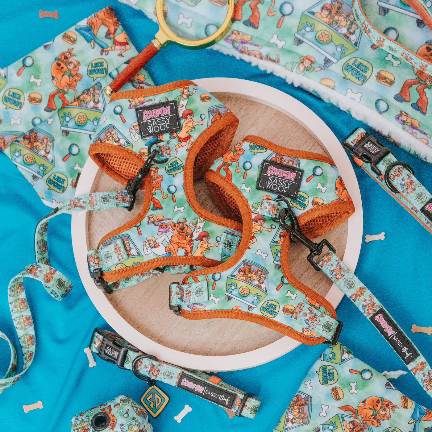 A set of colorful, Scooby-Doo-themed pet accessories, including harnesses, leashes, and bandanas, are arranged neatly on a round wooden tray over a bright blue fabric with a bone pattern.