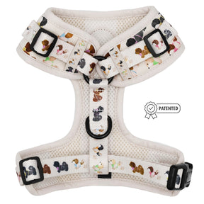 Dog Adjustable Harness - Spunky Shih Tzus