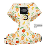 Dog Adjustable Harness - Simply the Zest
