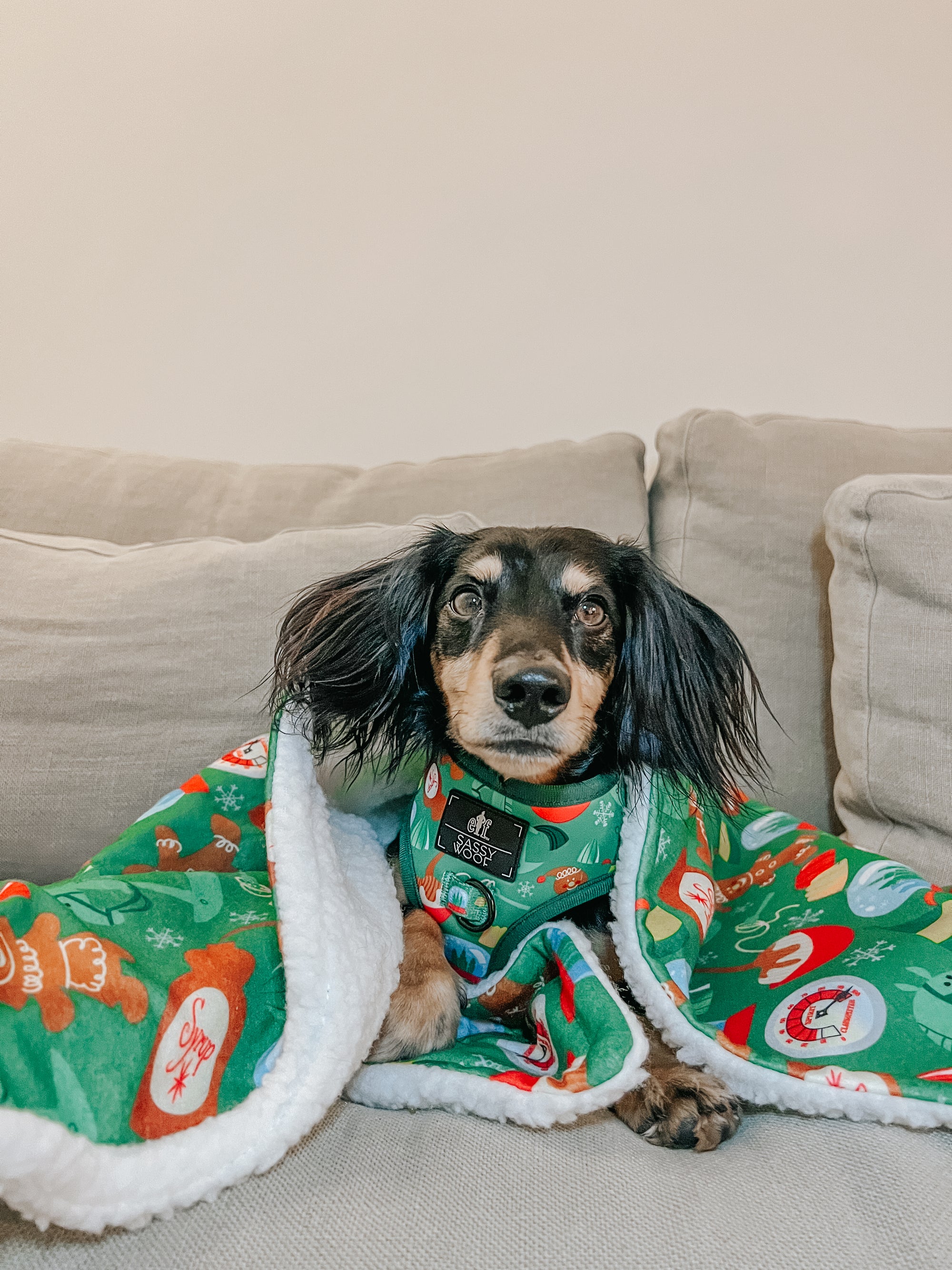 INFLUENCER_CONTENT | @SLINKYDOGSHERIFF | SIZE XS
