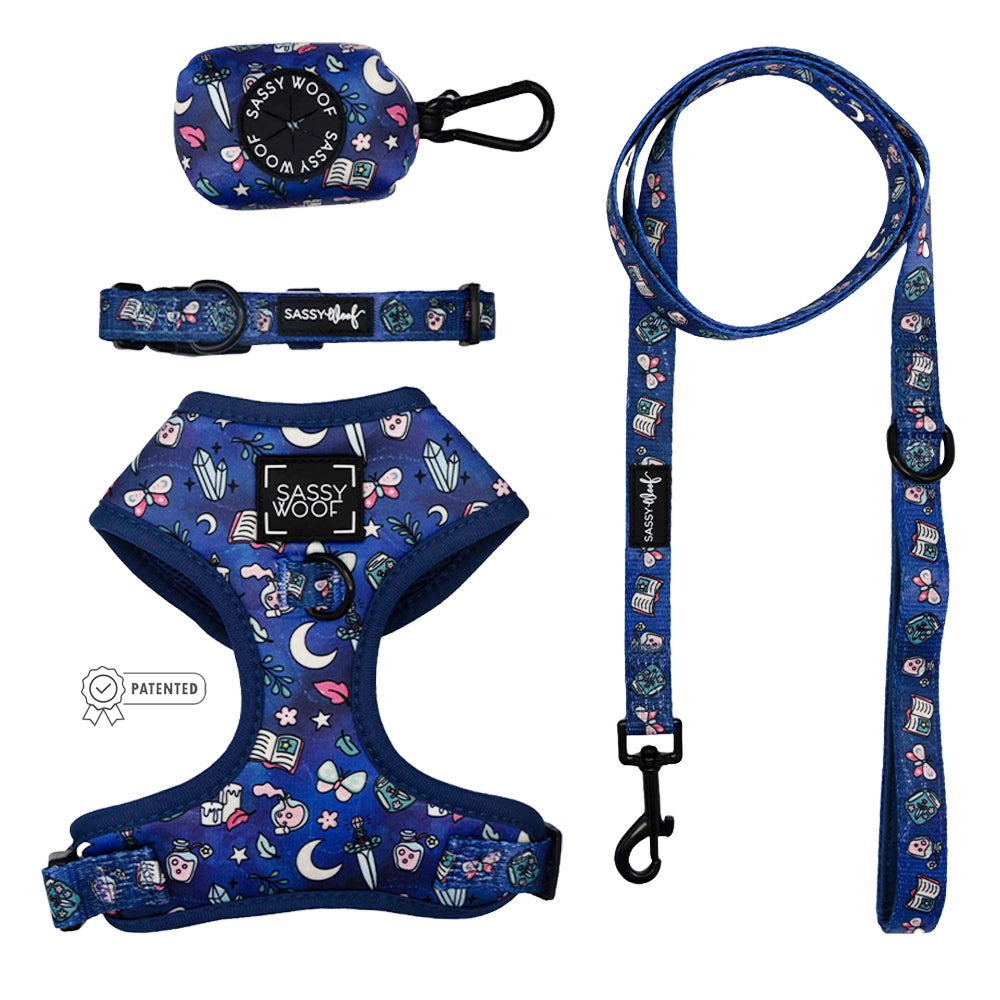 Dog Four Piece Bundle - Spellbound