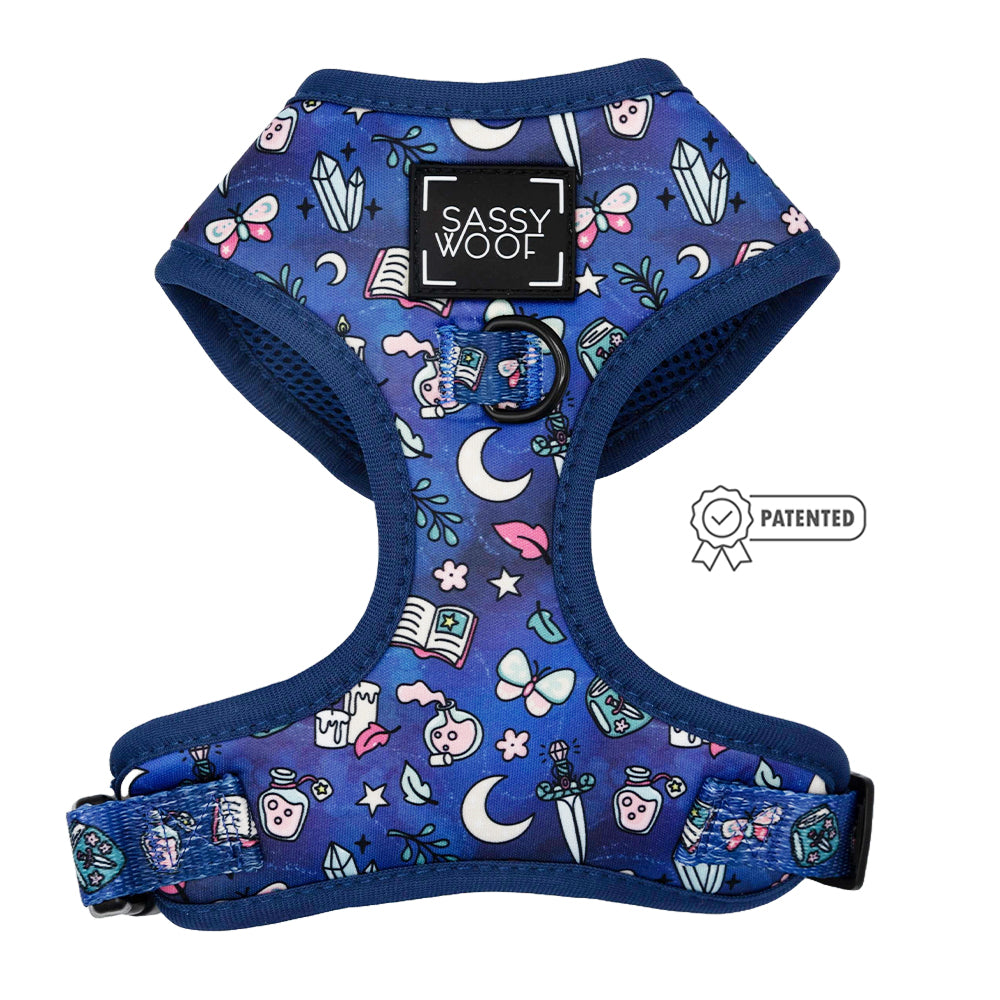 Dog Four Piece Bundle - Spellbound