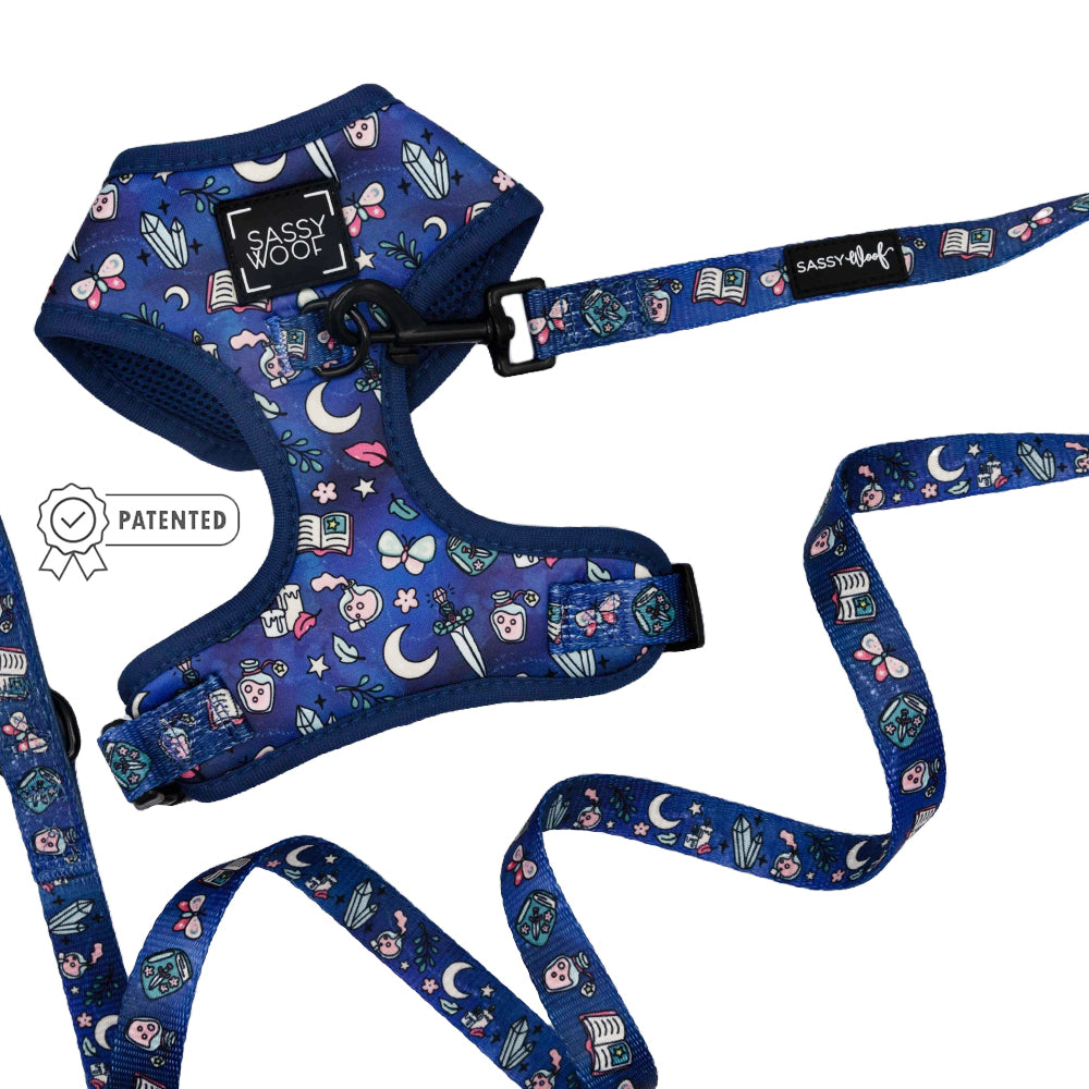 Dog Two Piece Bundle - Spellbound