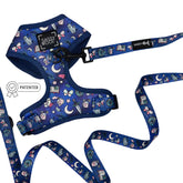 Dog Two Piece Bundle - Spellbound