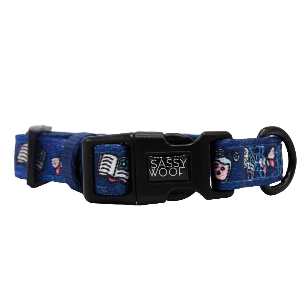 Dog Collar - Spellbound