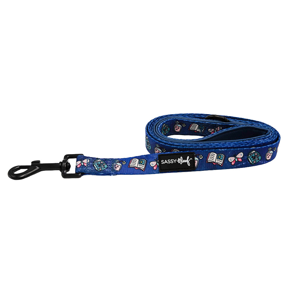 Dog Leash - Spellbound