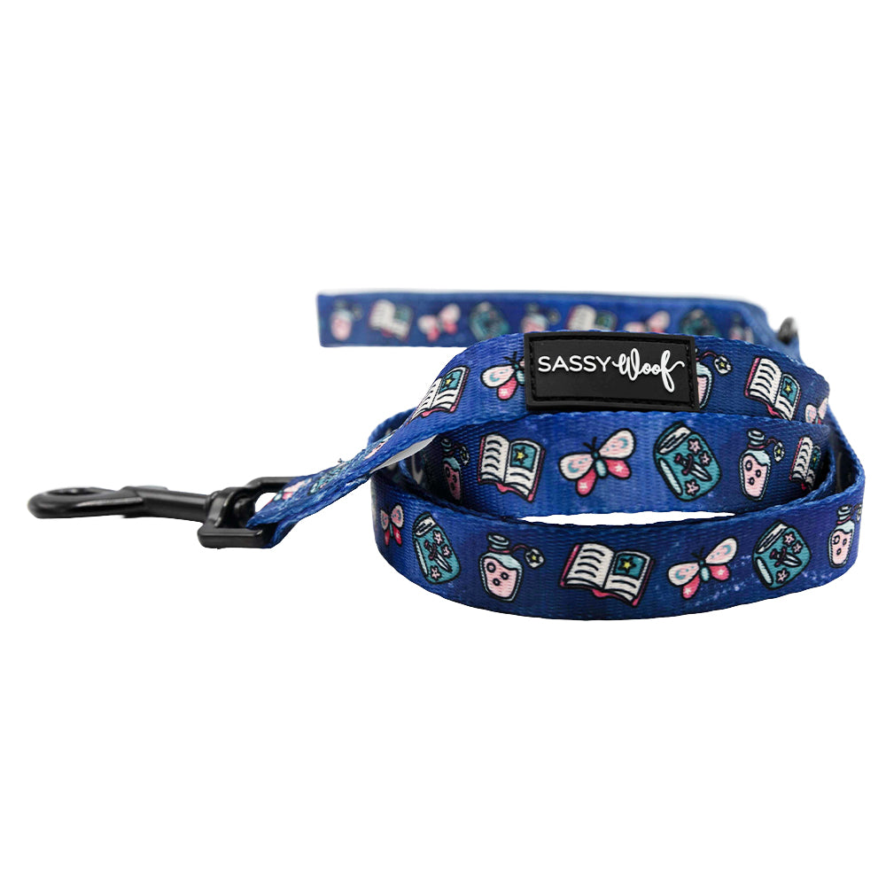 Dog Leash - Spellbound