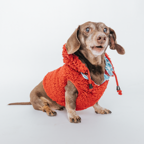 Dog Reversible Sherpa Jacket - Marvel’s Spider-Man