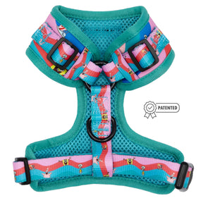 Dog Two Piece Bundle -  SpongeBob SquarePants™ and Friends