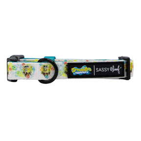 Dog Collar - SpongeBob SquarePants™ Bikini Bottom