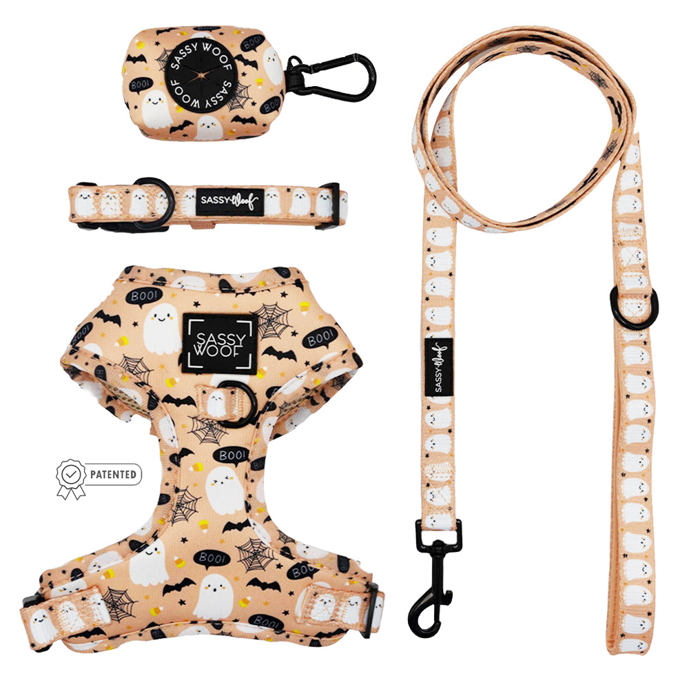 Dog Four Piece Bundle - Squad Ghouls