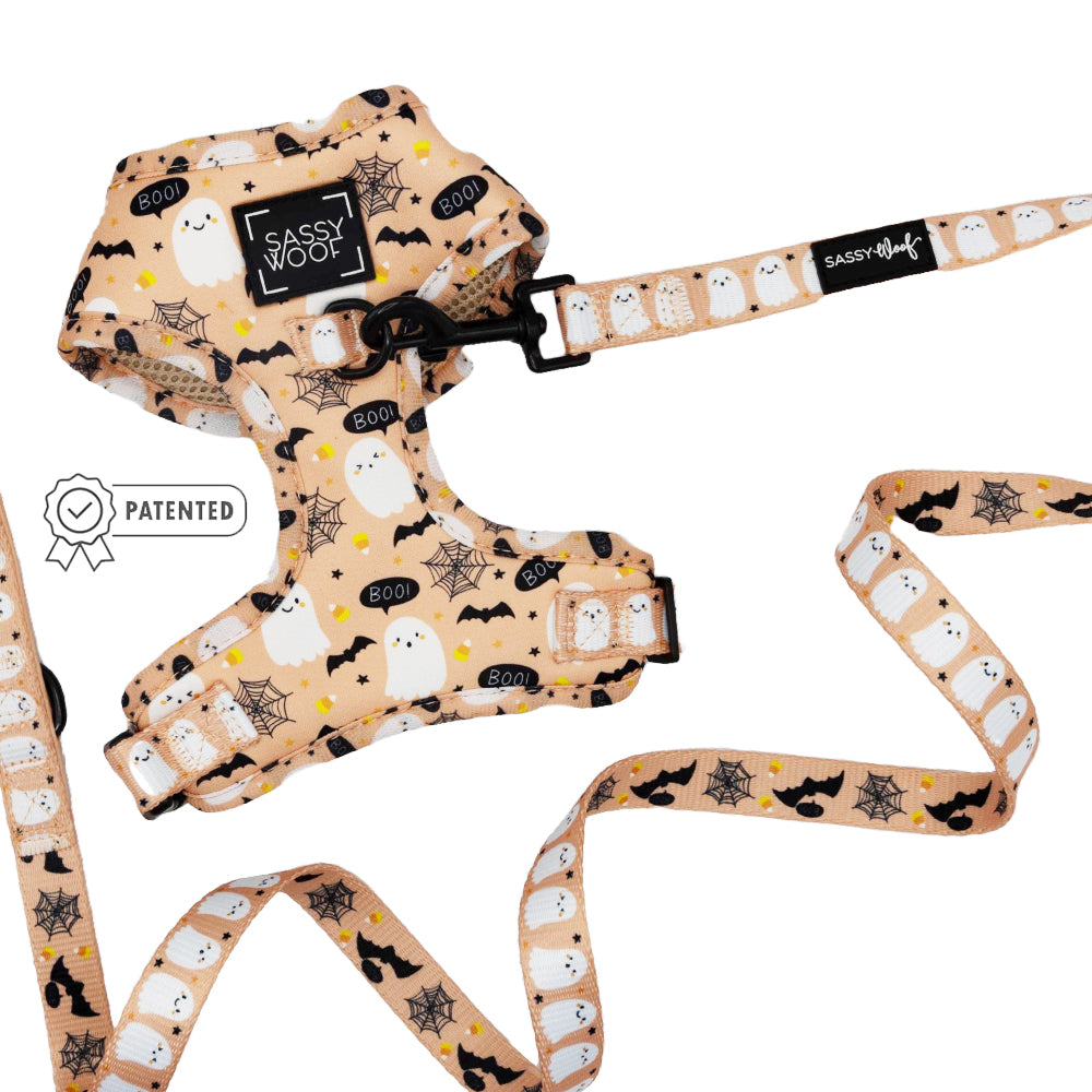 Dog Two Piece Bundle - Squad Ghouls