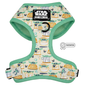 Dog Four Piece Bundle - STAR WARS™ The Child™