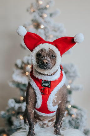INFLUENCER_CONTENT | @STRIPEHAIRLESS | SIZE S