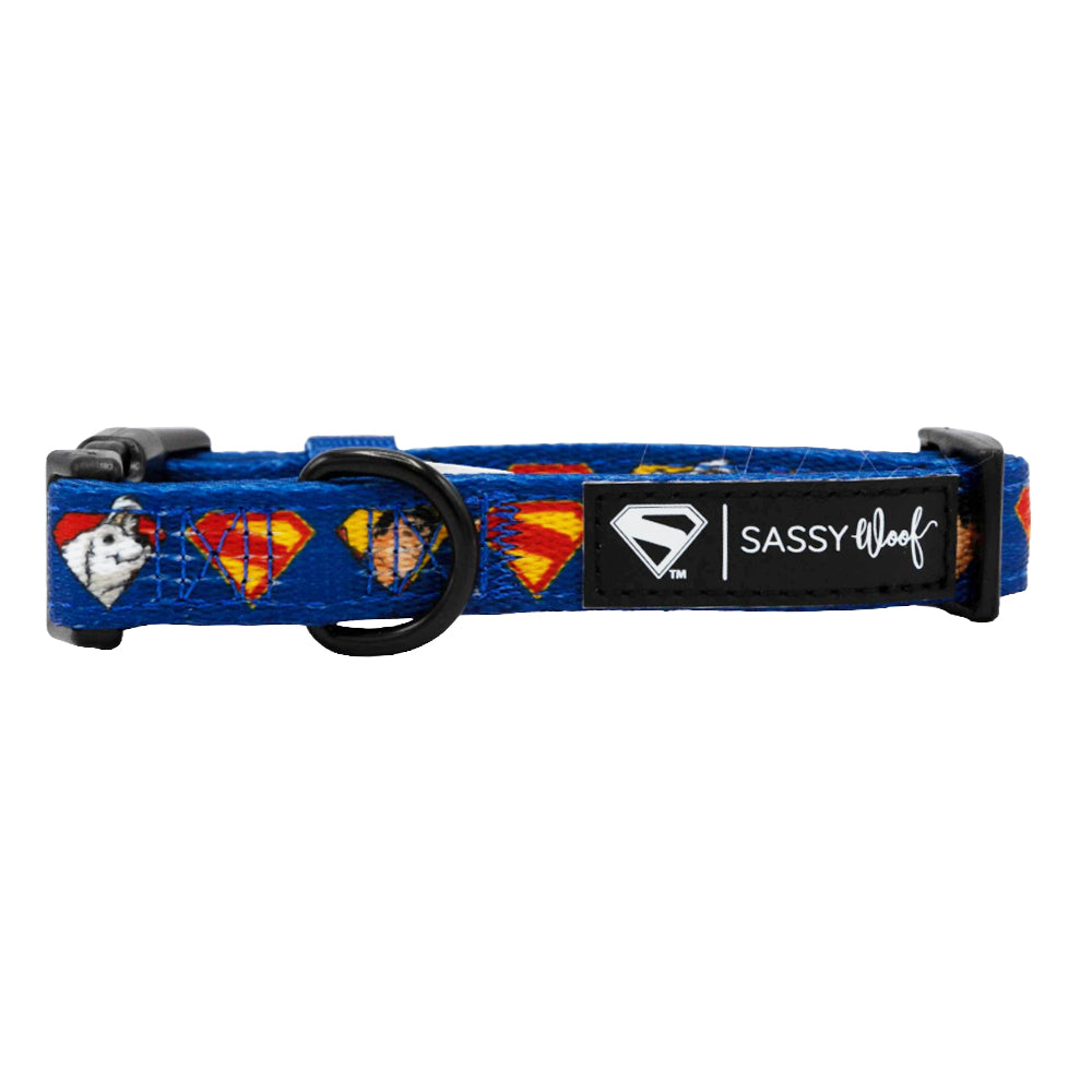 Dog Collar - Superman™ & Krypto™