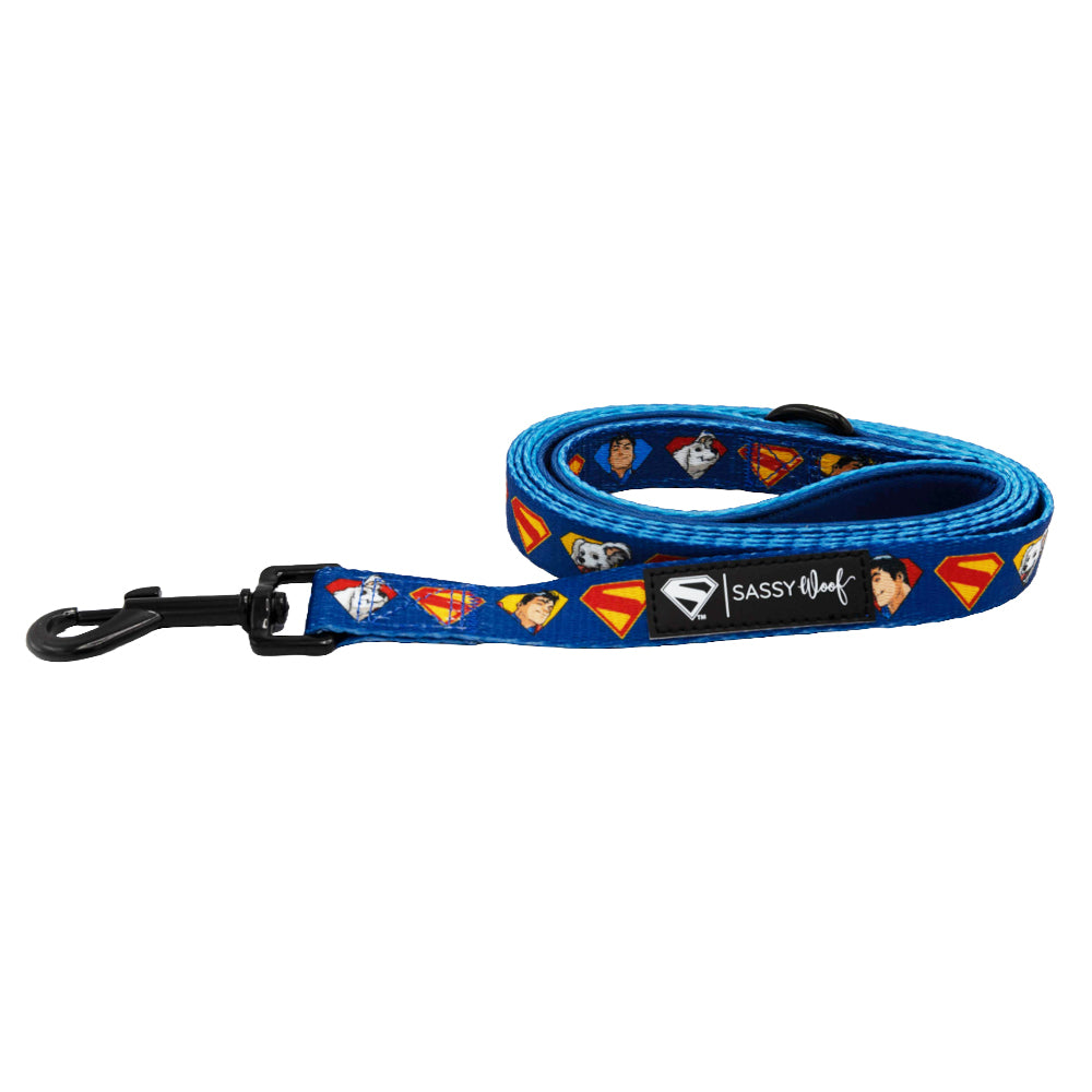 Dog Leash - Superman™ & Krypto™