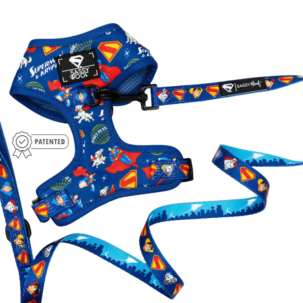 Dog Two Piece Bundle - Superman™ & Krypto™