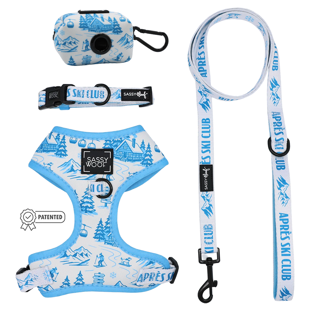 Introducing the Dog Four Piece Bundle - Après Ski Club by Sassy Woof: a blue and white set featuring ski resort illustrations, including an adjustable dog collar, leash, waste bag holder, and harness—all labeled Après Ski Club. The perfect winter accessories for stylish pups on chilly adventures.