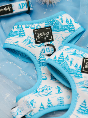 Close-up of the Sassy Woof Dog Two Piece Bundle - Après Ski Club, showcasing blue and white adjustable harnesses decorated with winter cabin, tree, chairlift, and skier illustrations. The set is displayed on sheer blue fabric with a light dusting of artificial snow and pairs perfectly with the cozy matching leash for stylish alpine adventures.