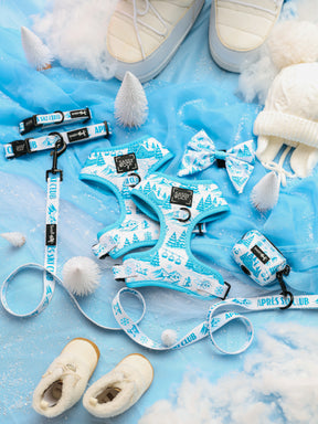 Flat lay of the Sassy Woof Dog Four Piece Bundle - Après Ski Club, featuring adjustable dog collars, dog harnesses, leashes, a bow tie, and a poop bag holder with winter designs, styled alongside white shoes, a knit hat, faux snow, and small white trees on a blue background.