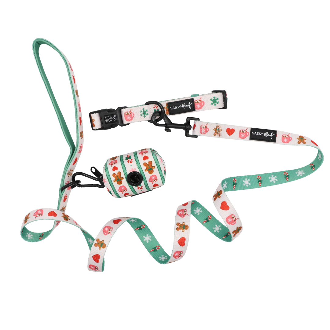 Celebrate the season with the Sassy Woof Dog Collar Three Piece Bundle - Cocoa & Cookies—a festive set including a matching leash and waste bag holder. Featuring a green background decorated with gingerbread men, snowflakes, hearts, and candy accents, this cheerful ensemble is perfect for joyful winter walks.