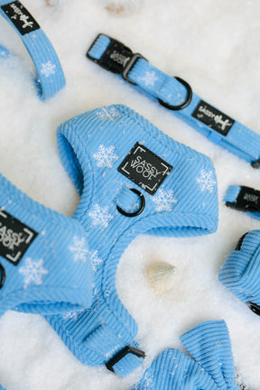 Sassy Woof Morning Frost dog collar, harness, and accessories in light blue neoprene with a white snowflake pattern displayed on a snowy surface.