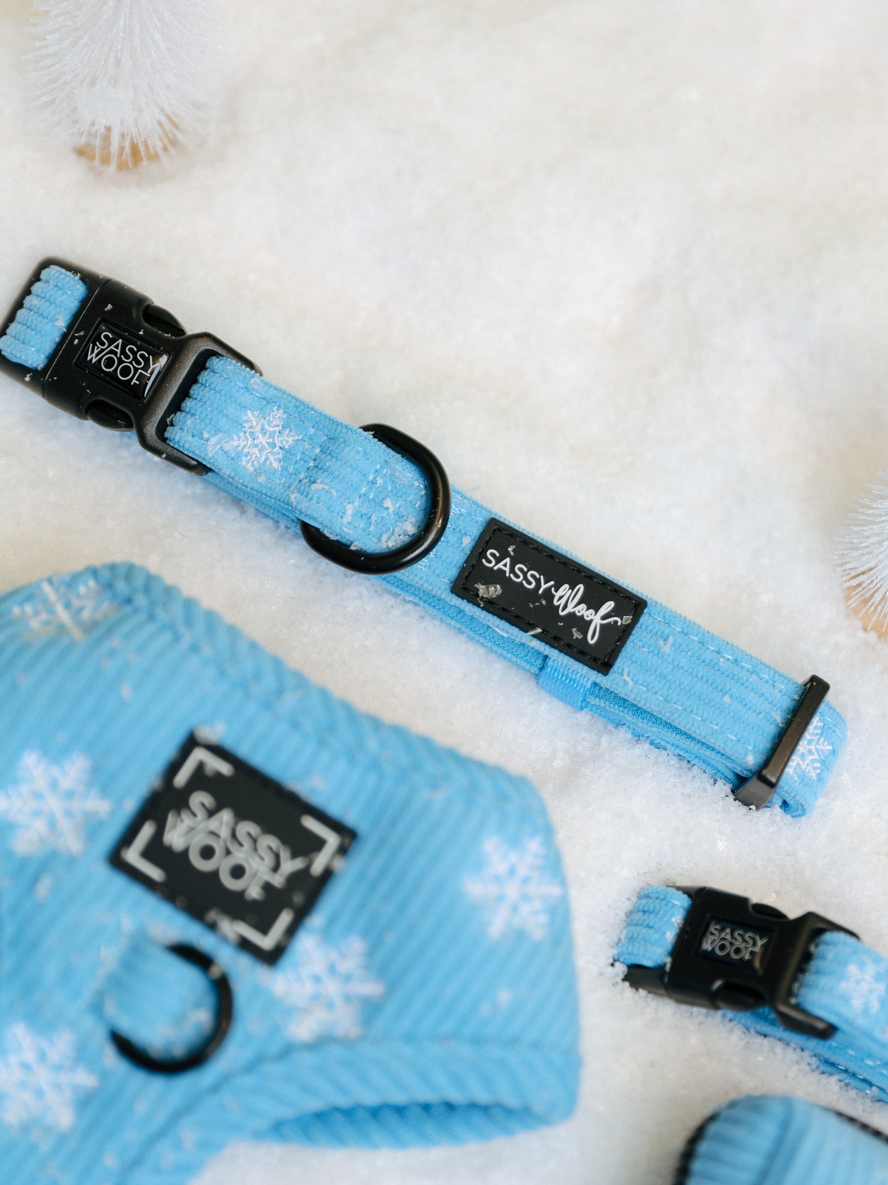 Sassy Woof Dog Collar - Morning Frost light blue neoprene collar and matching harness with a white snowflake pattern, black hardware, and branded labels resting on artificial snow.