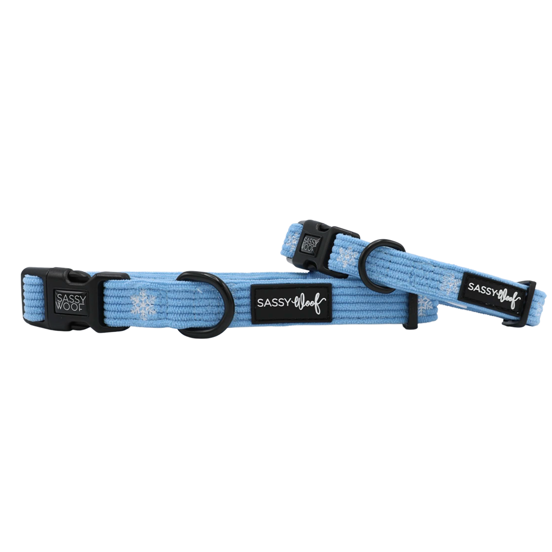 Dog Collar - Morning Frost | Sassy Woof Product