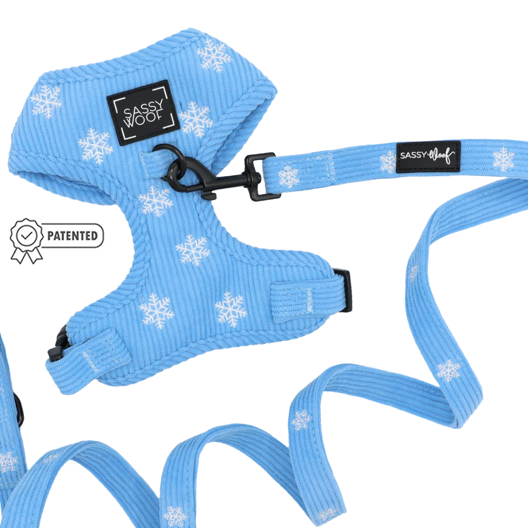 Light blue Sassy Woof Dog Two Piece Bundle - Morning Frost featuring a dog harness and matching leash with a white snowflake pattern.