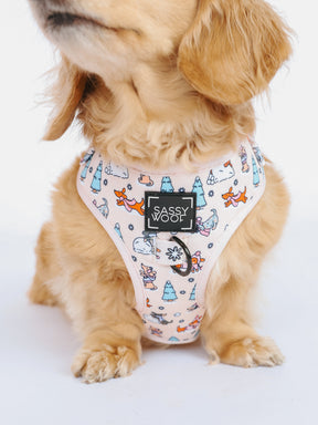 @MAYATHEDOX I COLLAR SIZE: S & HARNESS SIZE: XS 