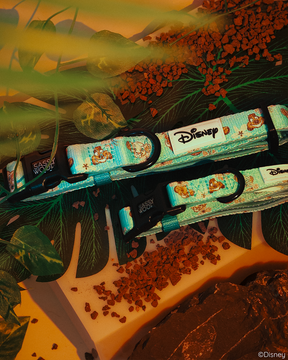 Set among vibrant green leaves, earthy brown pebbles, and a tropical patterned mat, the Sassy Woof Dog Collar Three Piece Bundle—Disney’s The Lion King Wild Kingdom—features two turquoise Disney-themed collars adorned with playful cartoon characters and the signature Disney logo. Pair them with a matching Lion King dog harness or your pup’s favorite jungle-inspired leash for a fully coordinated look.