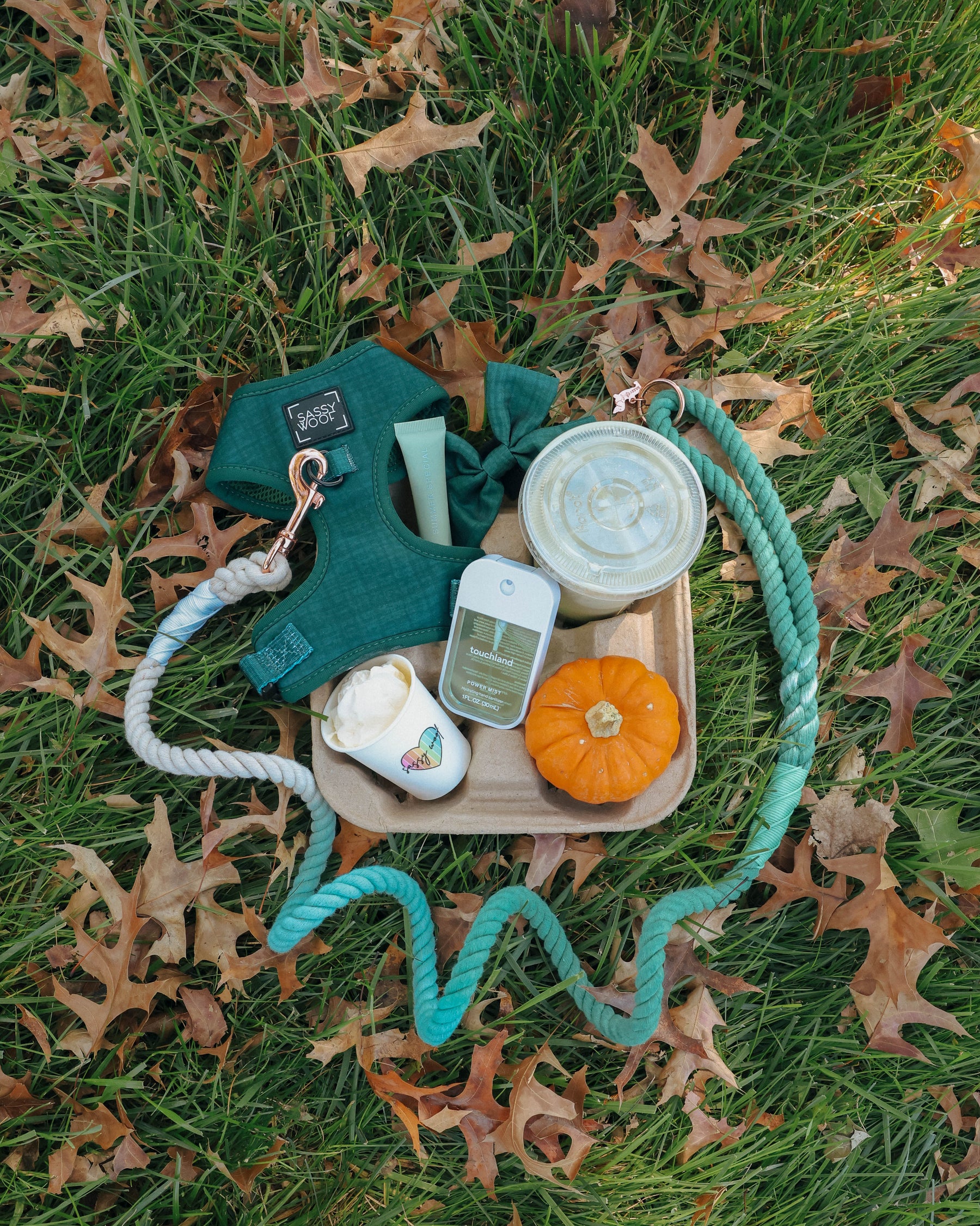 A green dog harness from the Forest Collection, a matching rope leash with a Sassy Woof Dog Waste Bag Holder - Forest, a bottle of sanitizer, iced coffee, a whipped cream drink, and a mini pumpkin on a tray in fallen leaves.