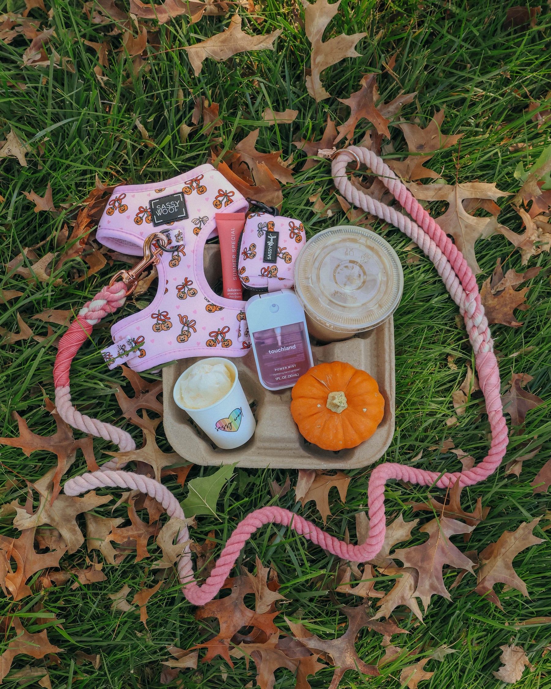 A pink Dog Leash - Sassy Lil Pumpkins and matching harness lying on leaf-covered grass beside a tray with a pumpkin, iced coffee, lip balm, hand sanitizer, and a cup of whipped cream.