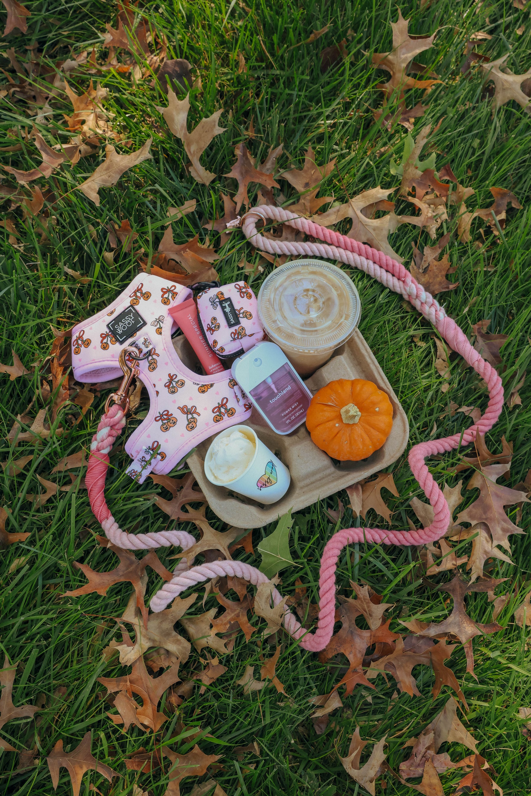 A Sassy Woof Dog Waste Bag Holder - Sassy Lil Pumpkins and matching dog harness with a pink rope leash, hand sanitizer, a small pumpkin, and a coffee cup arranged on a tray in grass covered with fallen leaves.